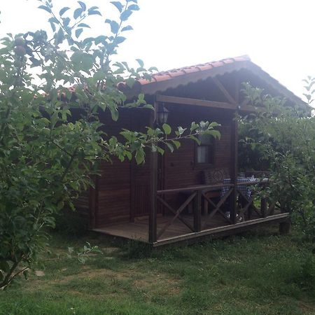 Salkim Konak Ve Agac Evler Pensjonat Selçuk Pokój zdjęcie