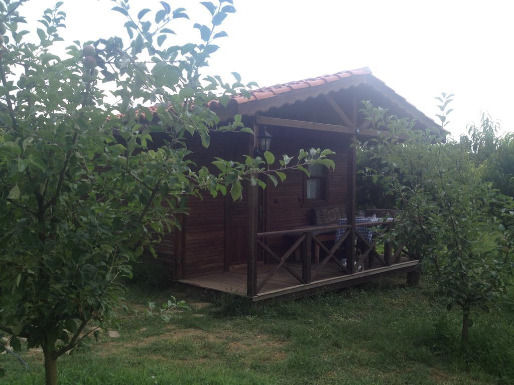 Salkim Konak Ve Agac Evler Pensjonat Selçuk Pokój zdjęcie