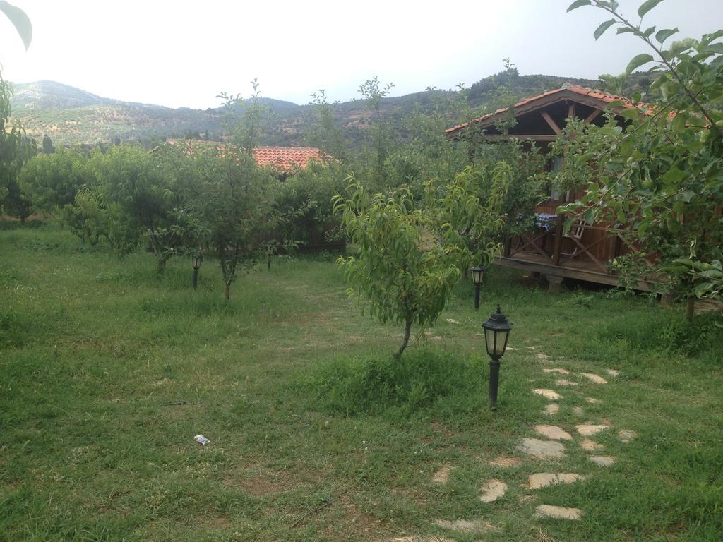 Salkim Konak Ve Agac Evler Pensjonat Selçuk Pokój zdjęcie