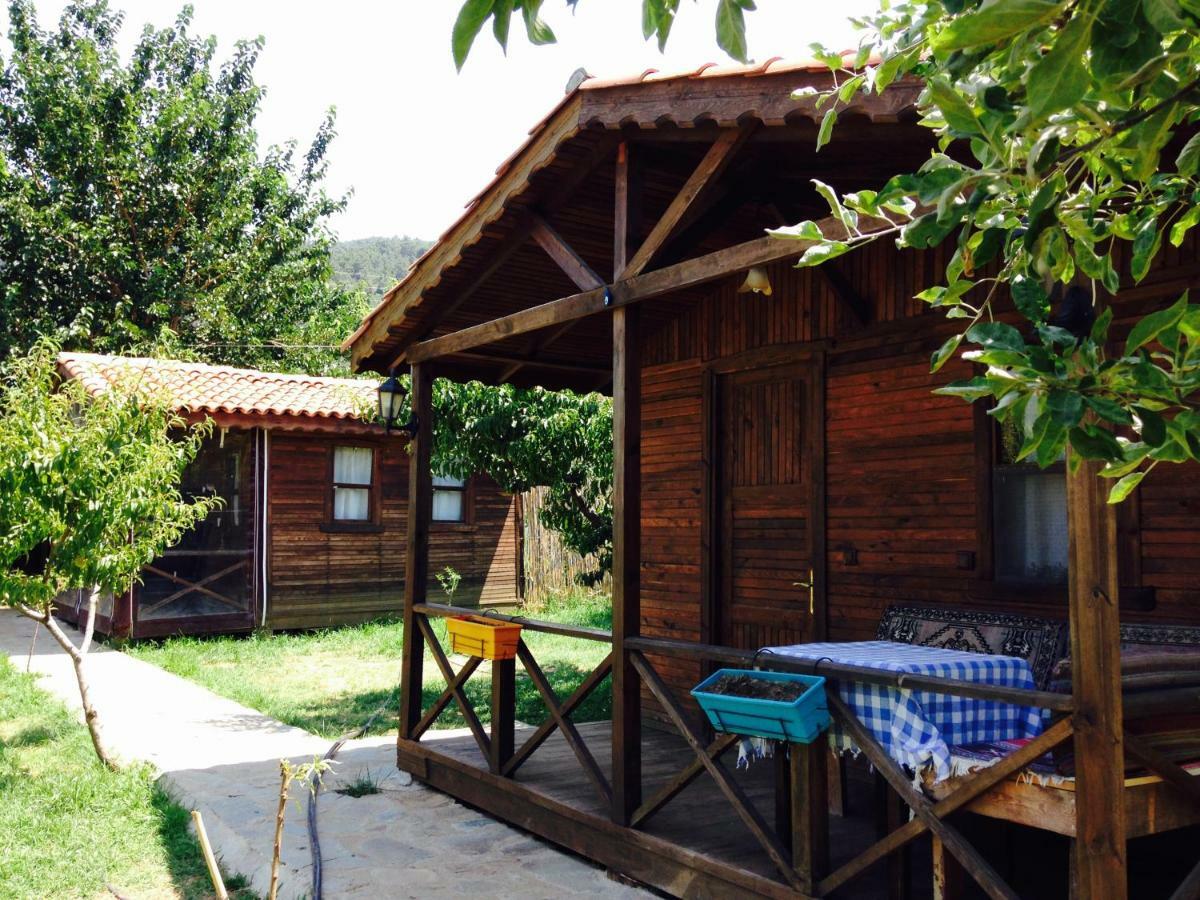 Salkim Konak Ve Agac Evler Pensjonat Selçuk Zewnętrze zdjęcie